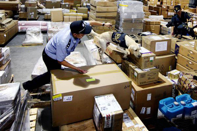 各國海淘轉(zhuǎn)運(yùn)公司的基本情況